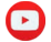 icon yt